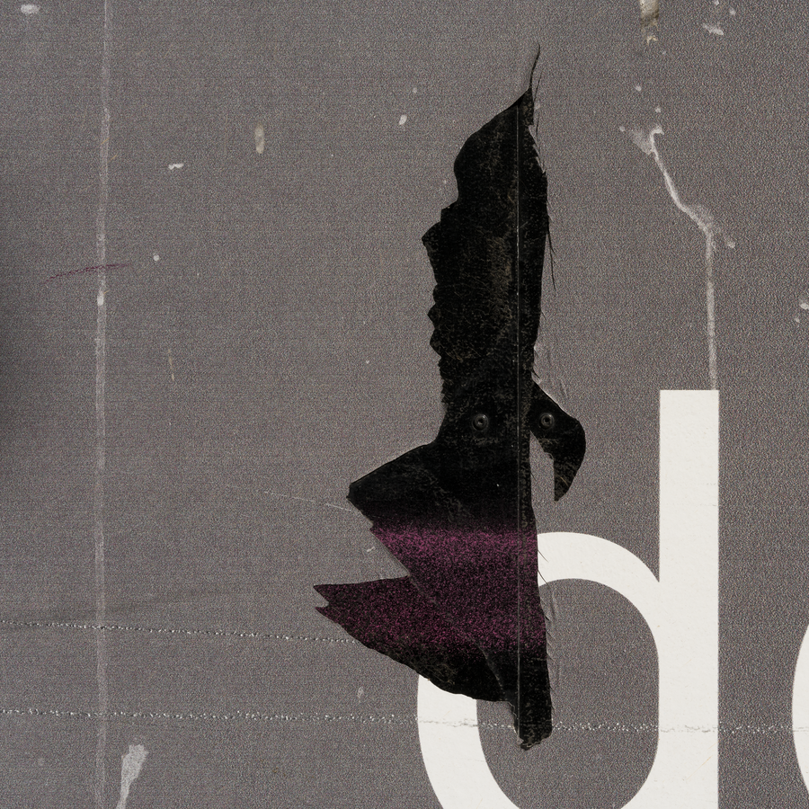 DYEU II -005_29052016_028